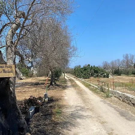 호텔 Casa Vacanze In Salento 토레 스페키아 루제리